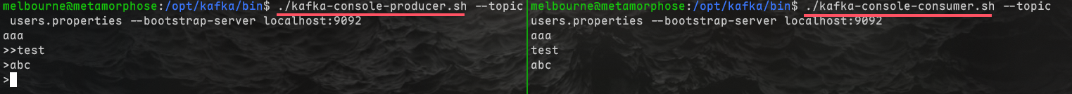 image-20250615152456241